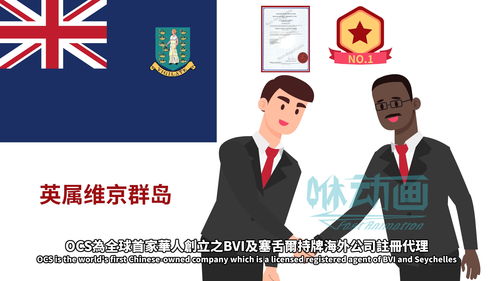 網(wǎng)絡(luò)技術(shù)服務(wù)產(chǎn)品宣傳動(dòng)畫(huà) 風(fēng)格選擇指南